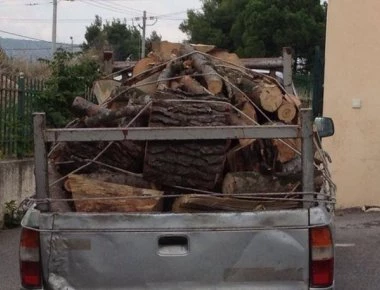 Λαθροϋλοτόμοι έκοβαν πεύκα σε δάσος στο Λουτράκι